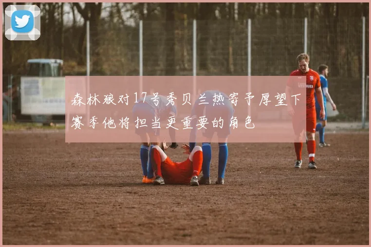 森林狼对17号秀贝兰热寄予厚望下赛季他将担当更重要的角色