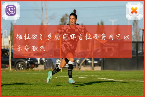 维拉欲引多特前锋吉拉西费内巴切竞争激烈