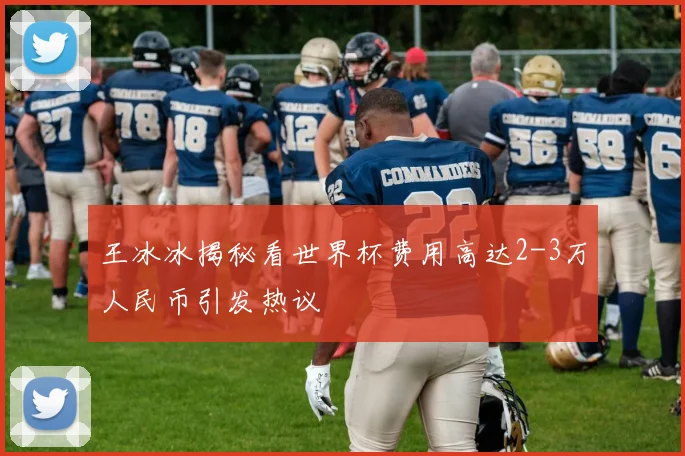 王冰冰揭秘看世界杯费用高达2-3万人民币引发热议