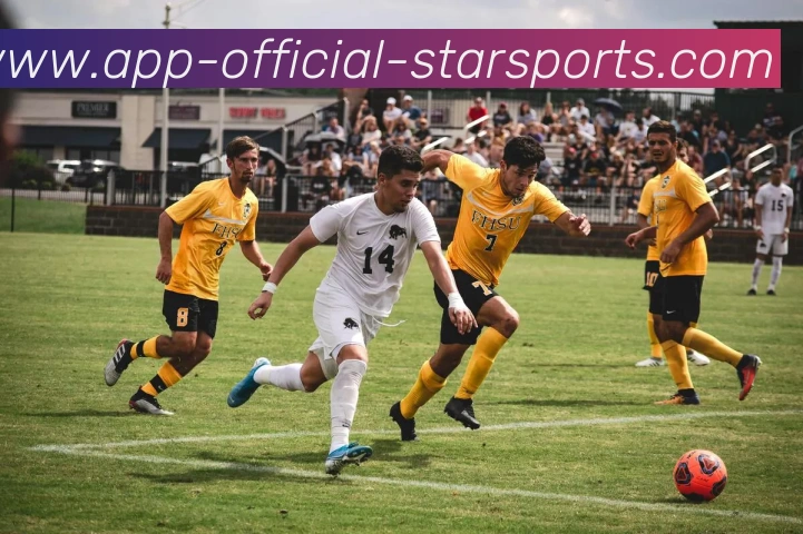 用户互动社区