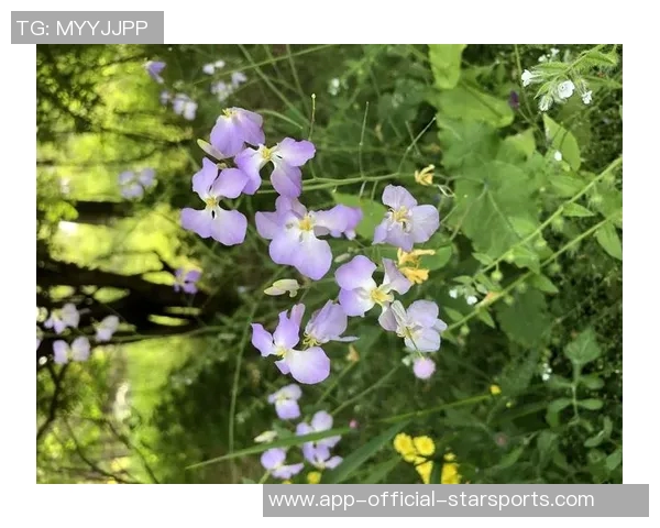 奥斯卡回忆疫情期间差点加盟巴萨愿意低薪为球队效力六个月